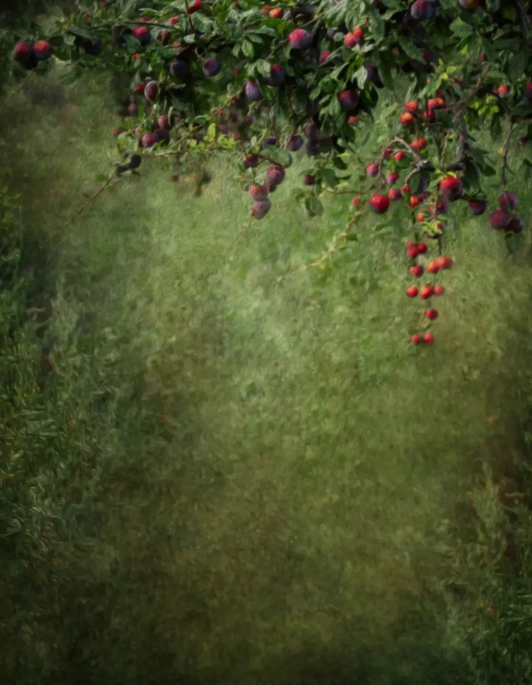 Fall Abundance 6’X8’ Fleece (72 X 96 Inch) Backdrop