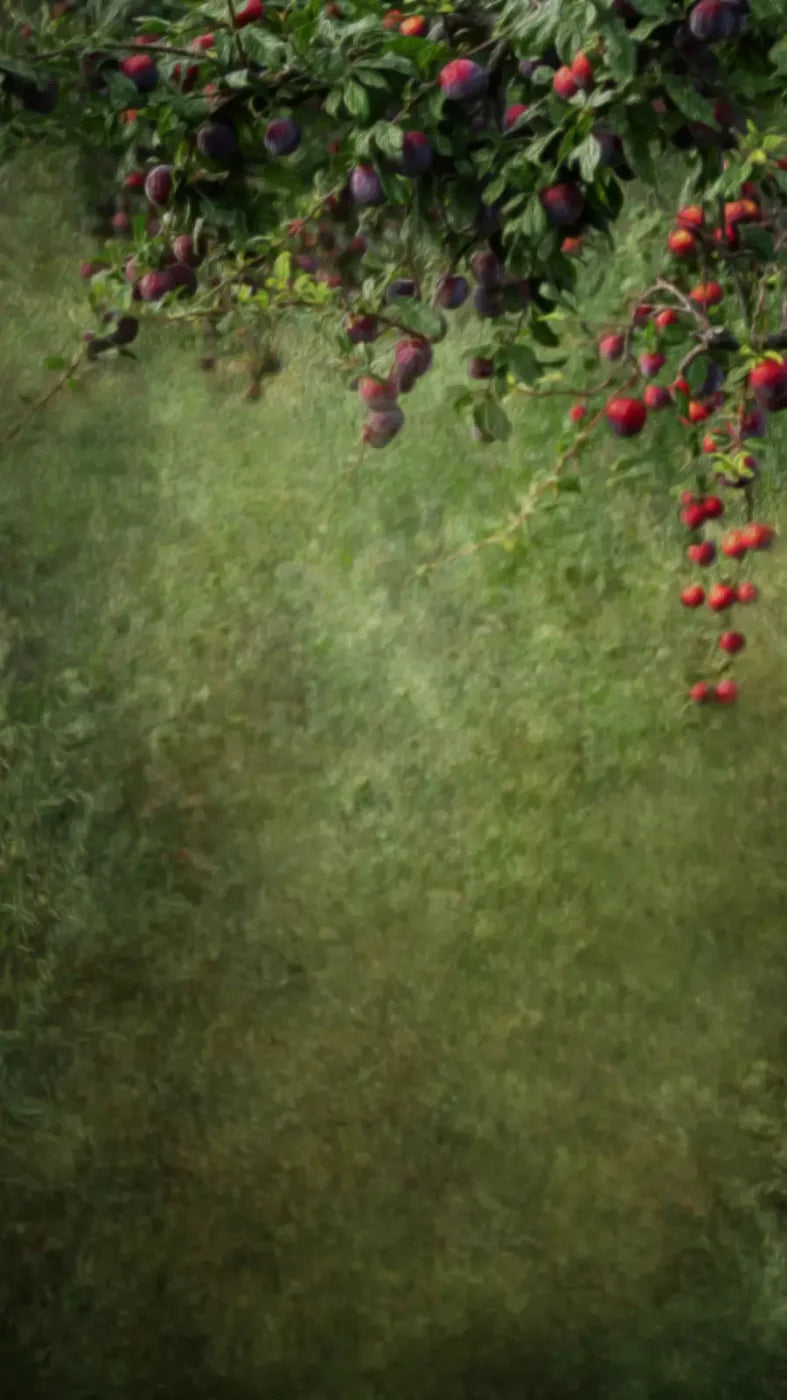 Fall Abundance 8’X14’ Ultracloth (96 X 168 Inch) Backdrop