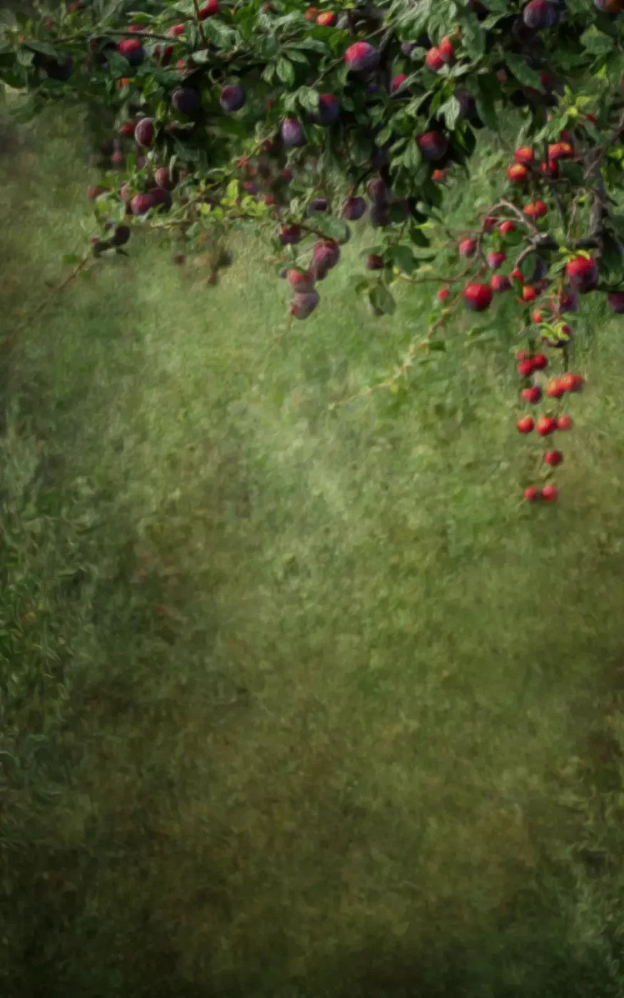 Fall Abundance 9’X14’ Ultracloth (108 X 168 Inch) Backdrop