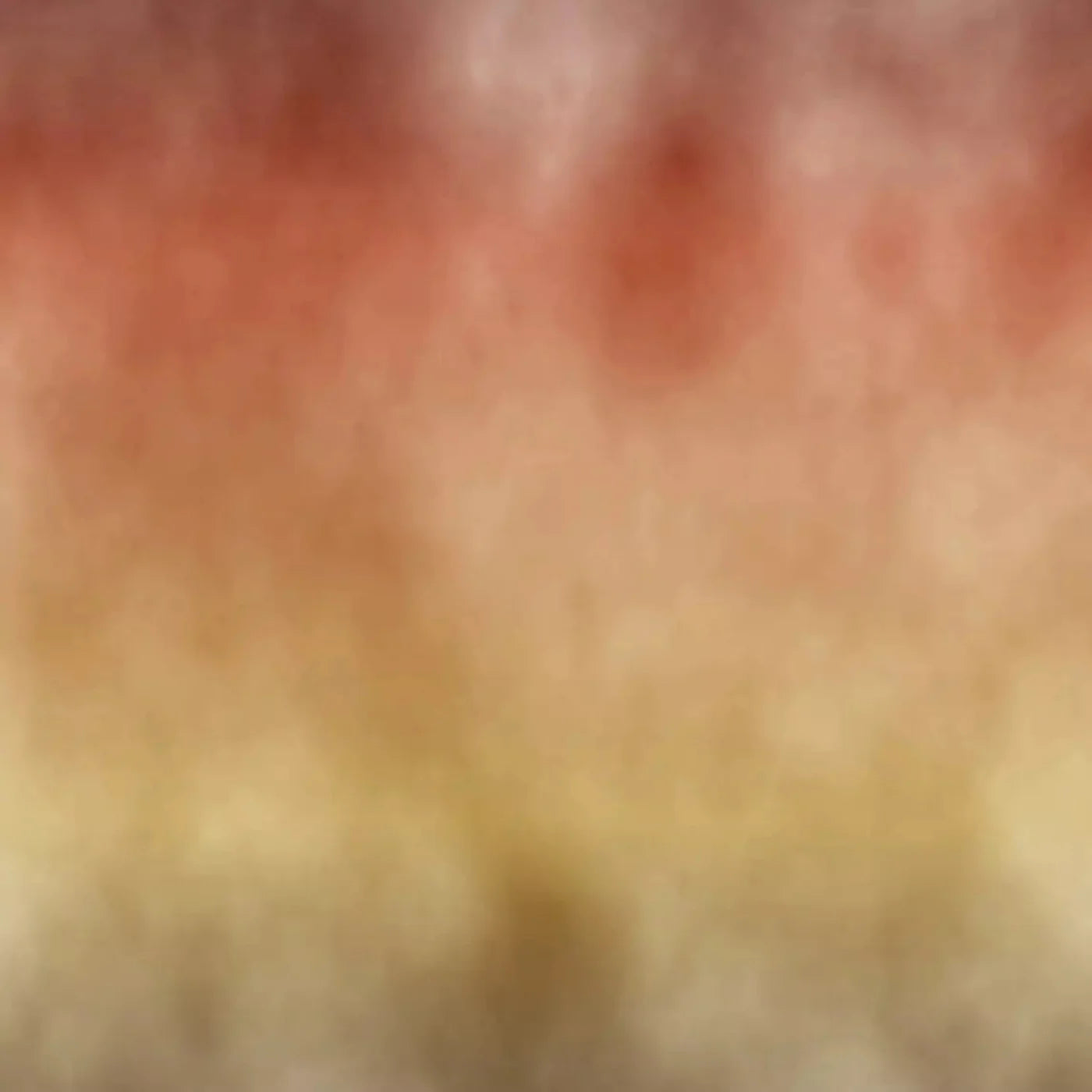 Fall Dream Backdrop