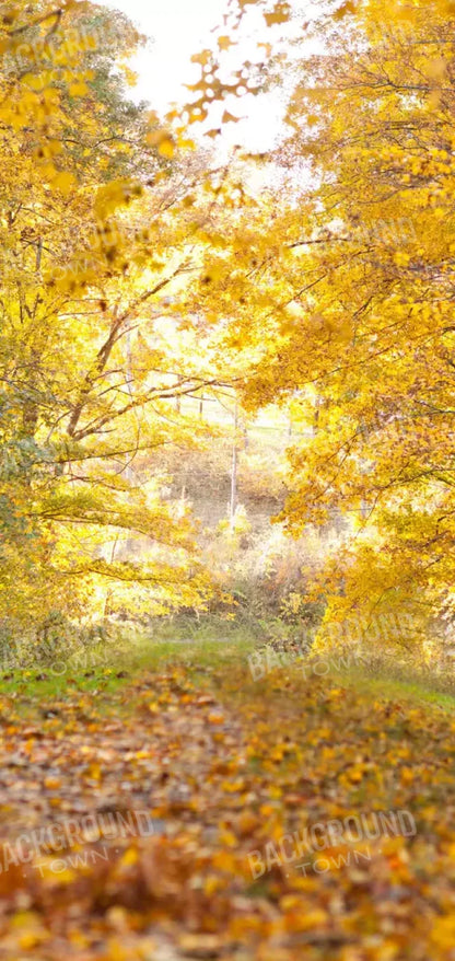 Fall In Missouri 1 8X16 Ultracloth ( 96 X 192 Inch ) Backdrop