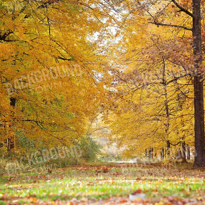 Fall In Missouri 2 8X8 Fleece ( 96 X Inch ) Backdrop
