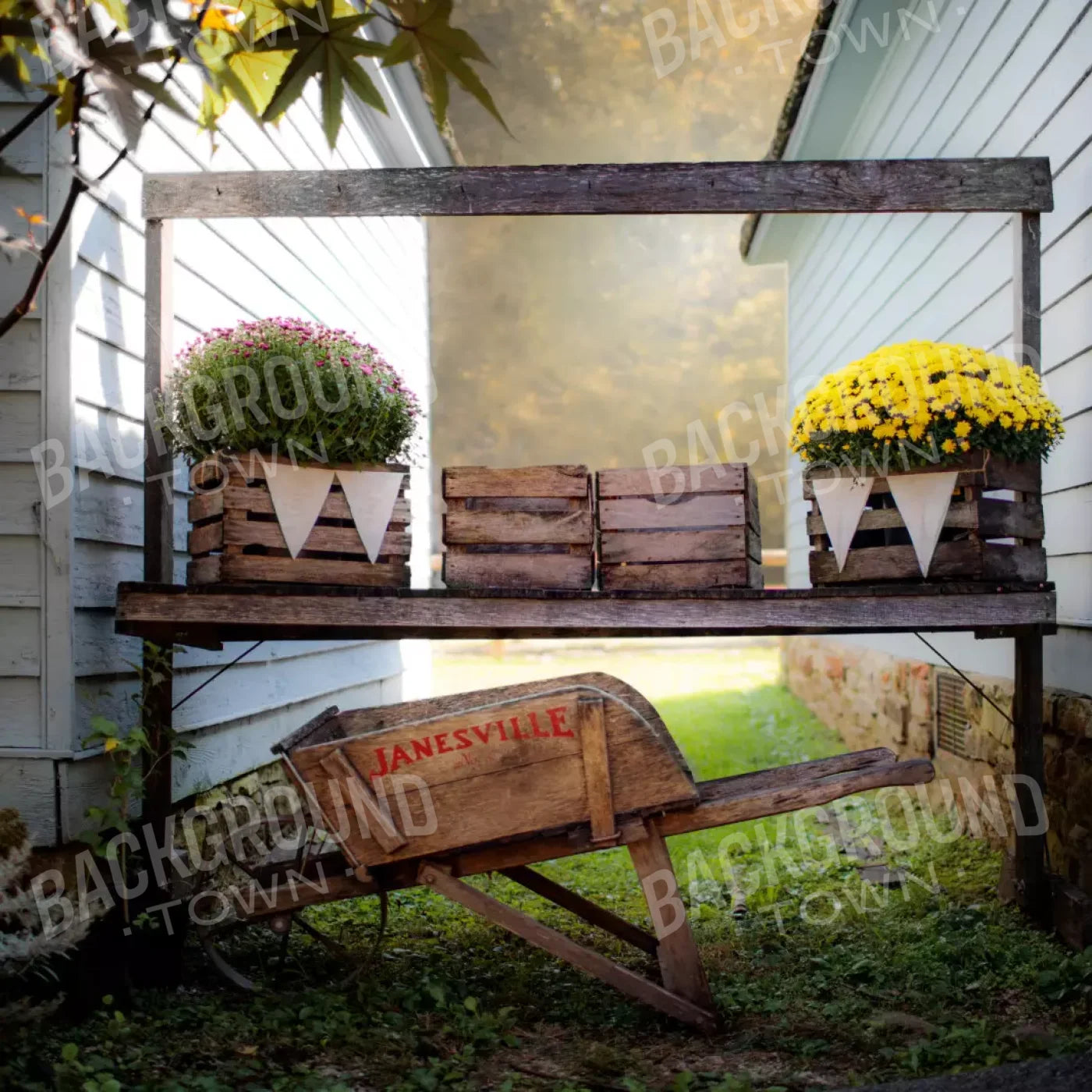 Fall Mums 10X10 Ultracloth ( 120 X Inch ) Backdrop