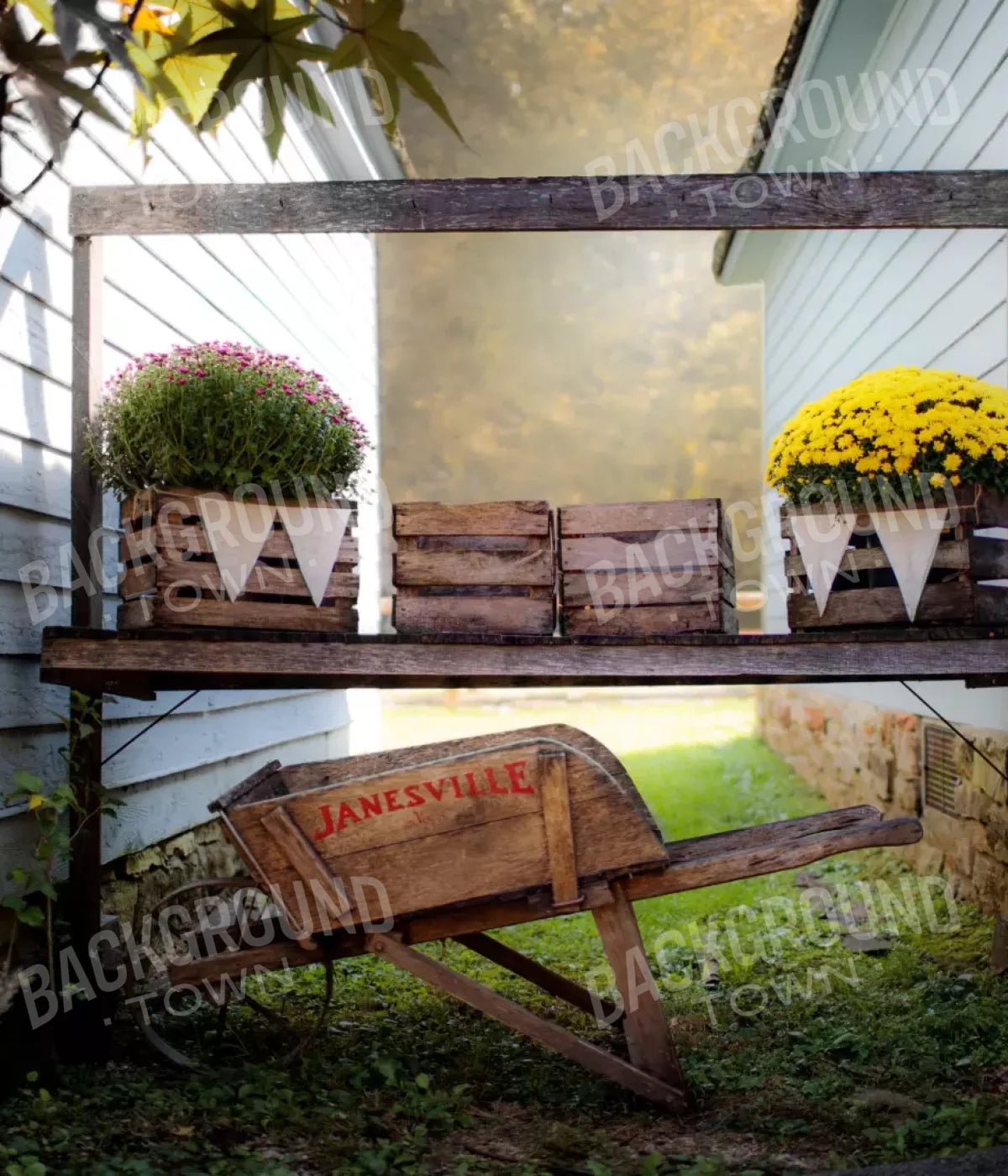 Fall Mums 10X12 Ultracloth ( 120 X 144 Inch ) Backdrop