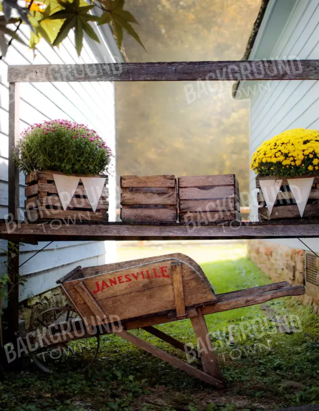 Fall Mums 6X8 Fleece ( 72 X 96 Inch ) Backdrop