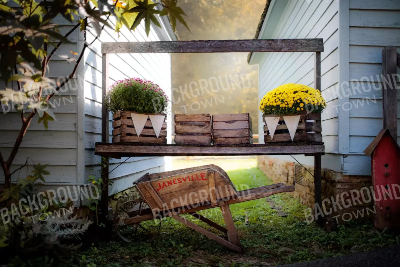 Fall Mums 8X5 Ultracloth ( 96 X 60 Inch ) Backdrop