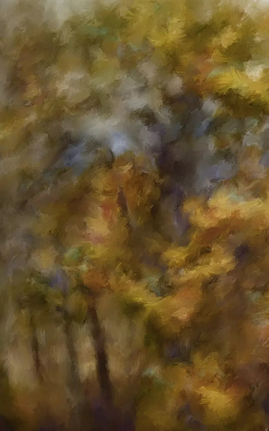 Fall River Colors 9X14 Ultracloth ( 108 X 168 Inch ) Backdrop