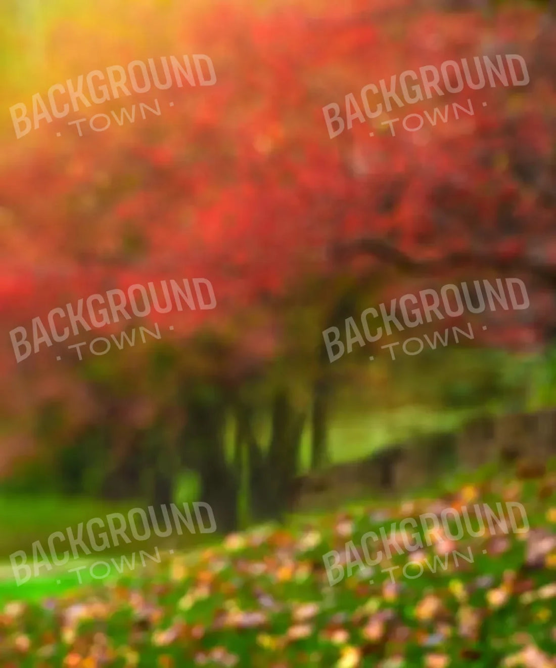 Orange Autumn Backdrop for Photography