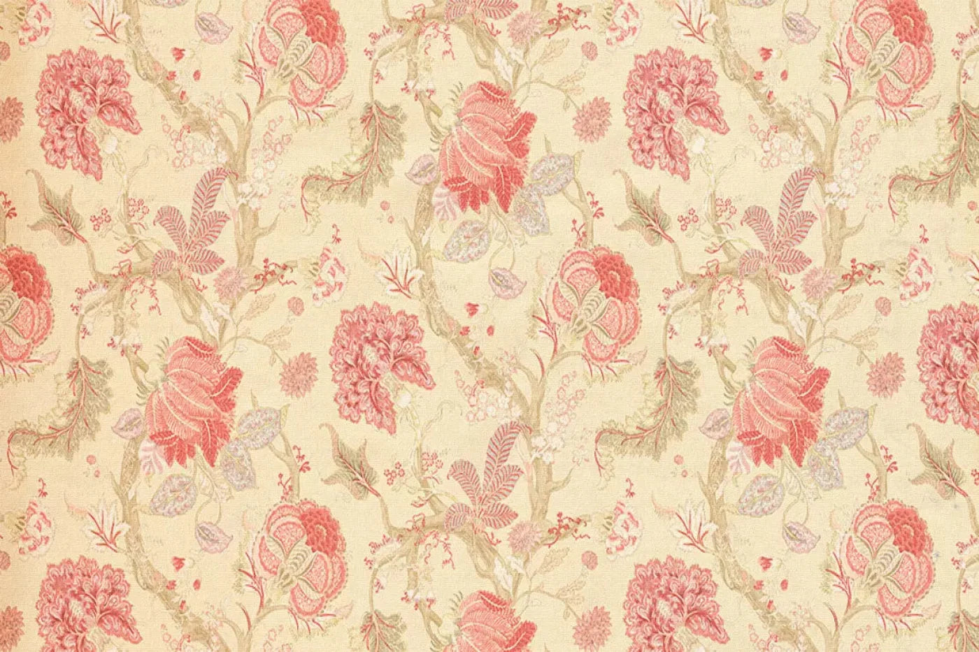 Fannie Backdrop