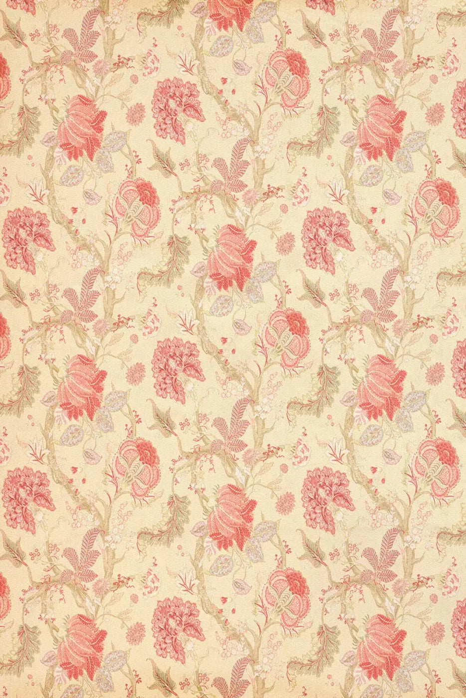 Fannie Backdrop