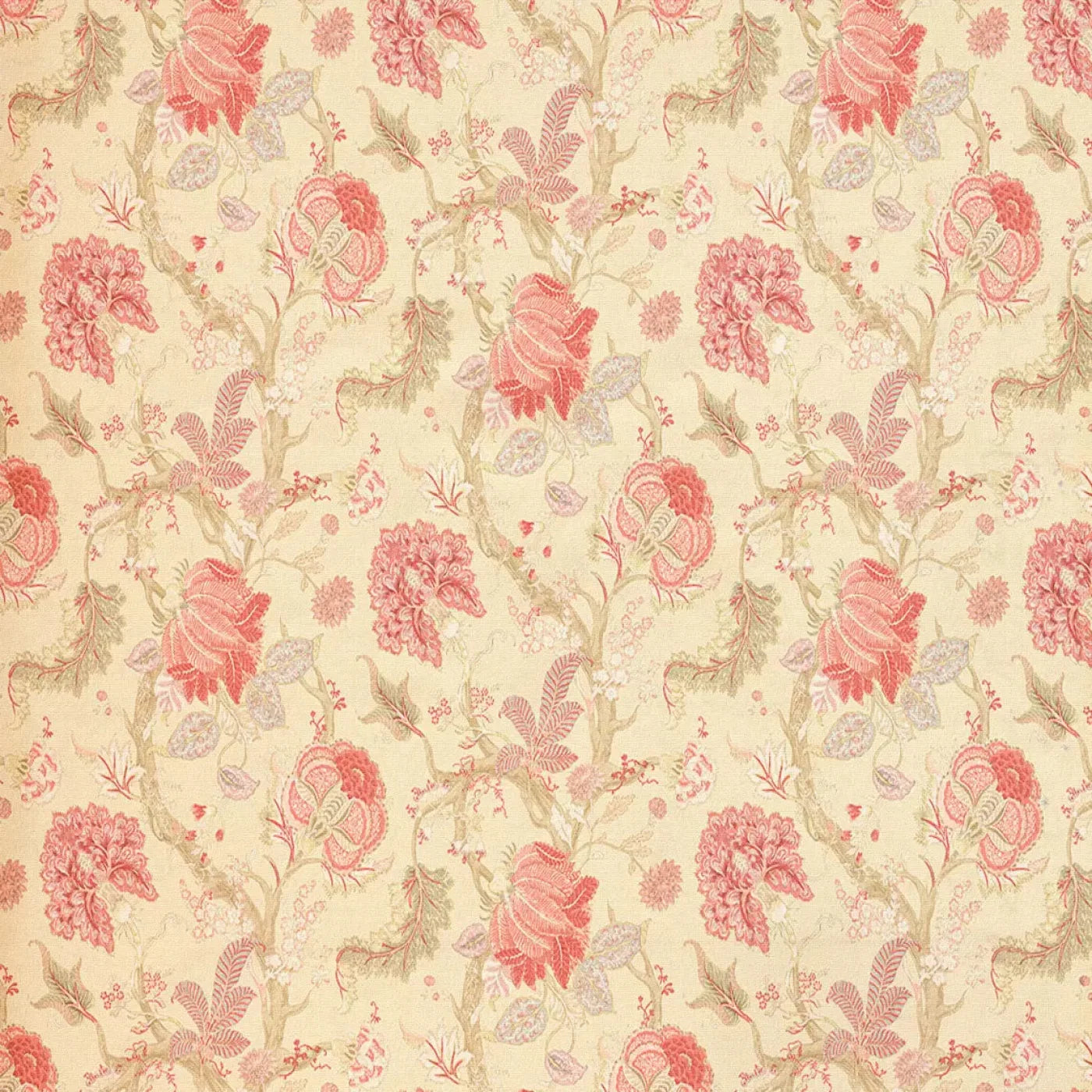 Fannie Backdrop
