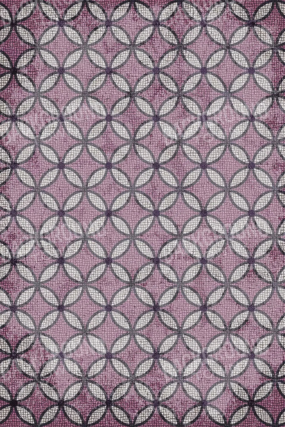 Felicity 5X8 Ultracloth ( 60 X 96 Inch ) Backdrop