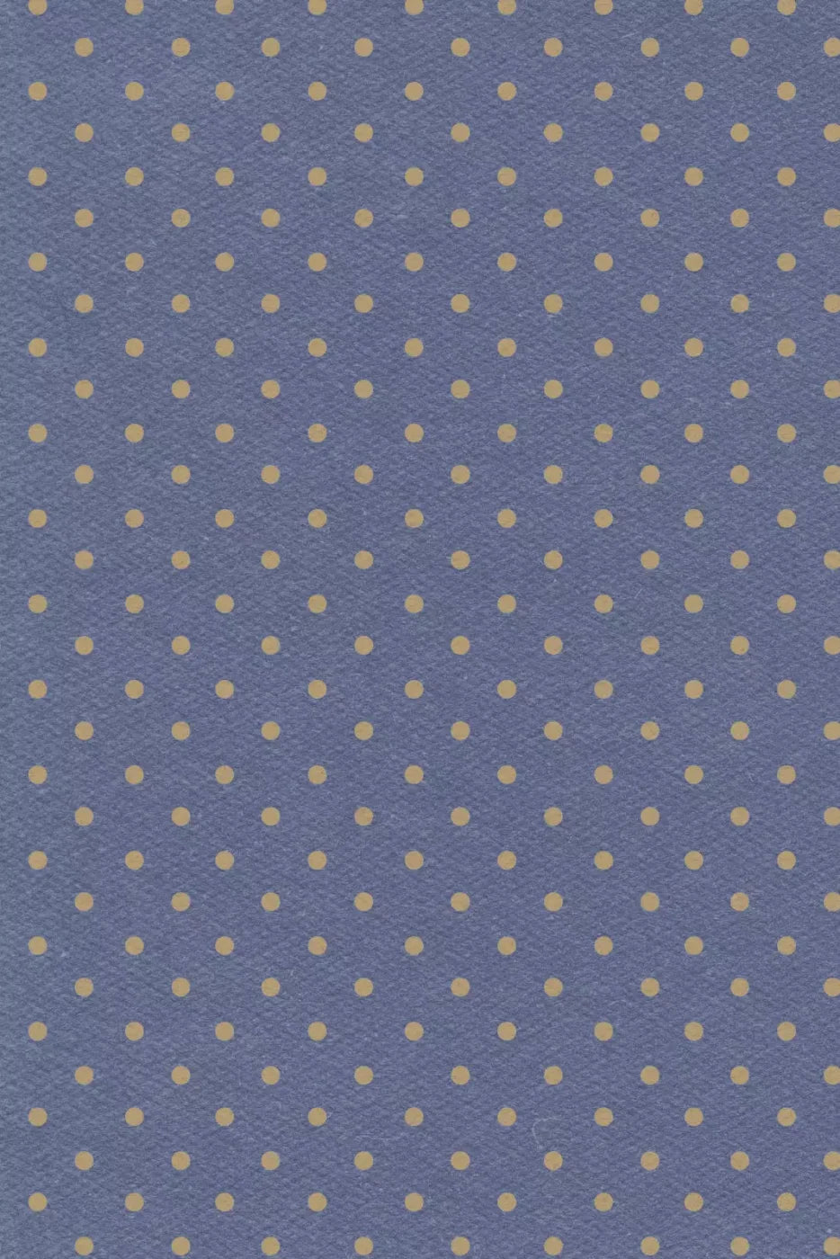 Finn Backdrop