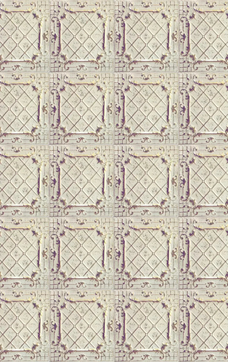 Fiona 10X16 Ultracloth ( 120 X 192 Inch ) Backdrop