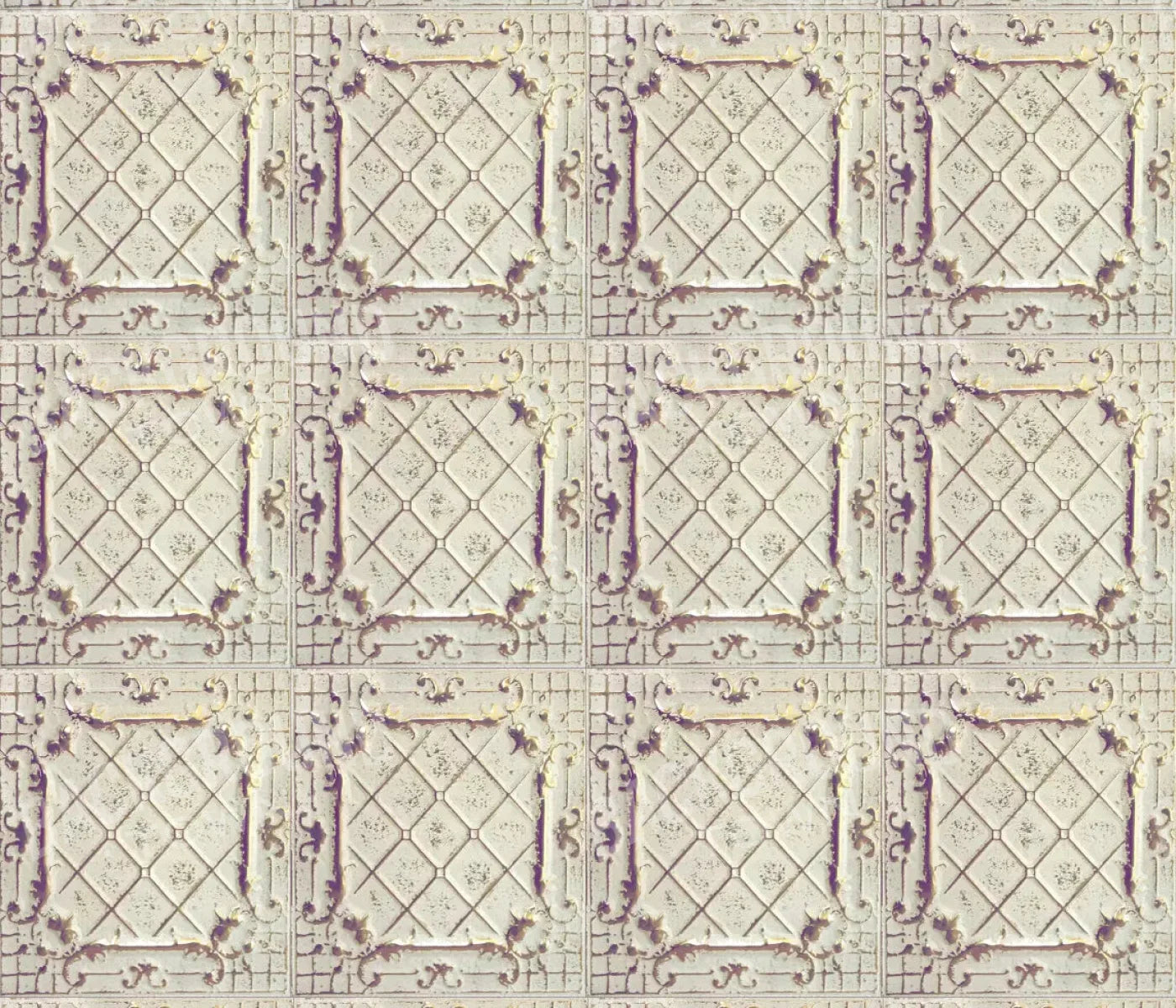 Fiona 12X10 Ultracloth ( 144 X 120 Inch ) Backdrop