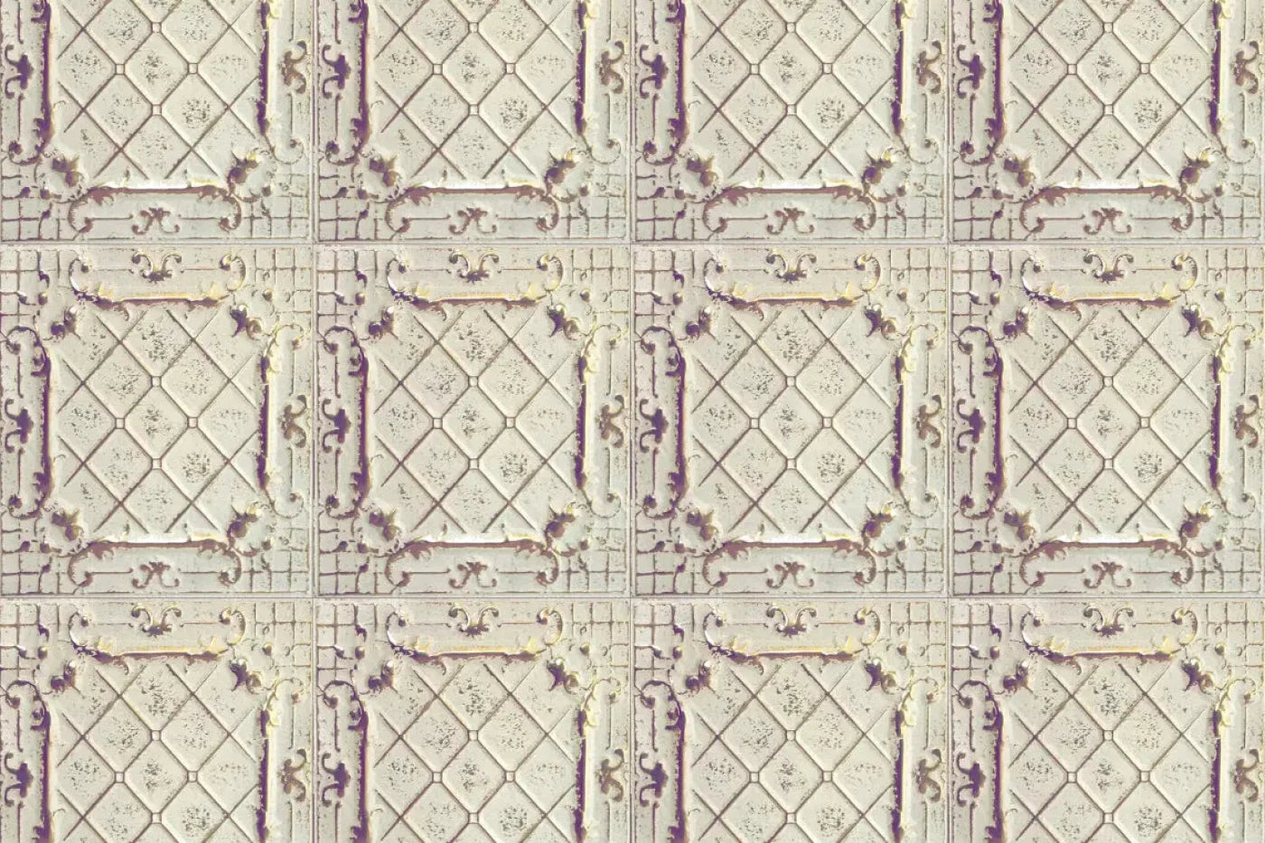 Fiona Backdrop