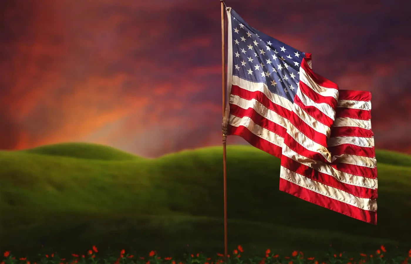 Flag In Meadow 12X8 Ultracloth ( 144 X 96 Inch ) Backdrop