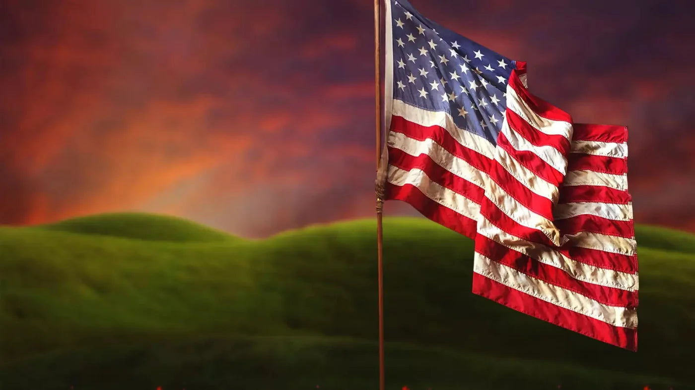 Flag In Meadow 14X8 Ultracloth ( 168 X 96 Inch ) Backdrop