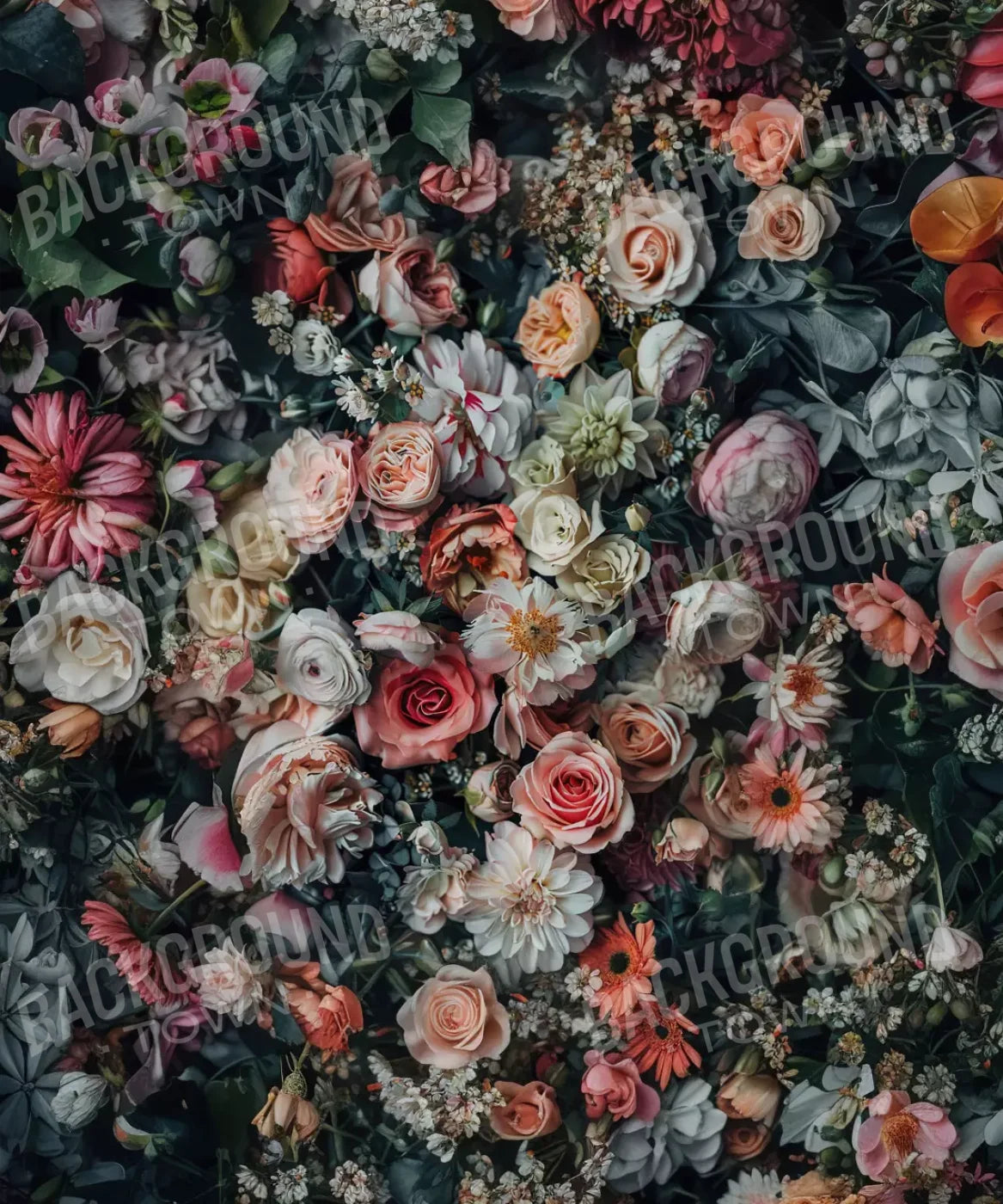 Pink , Green Backdrop for Photography