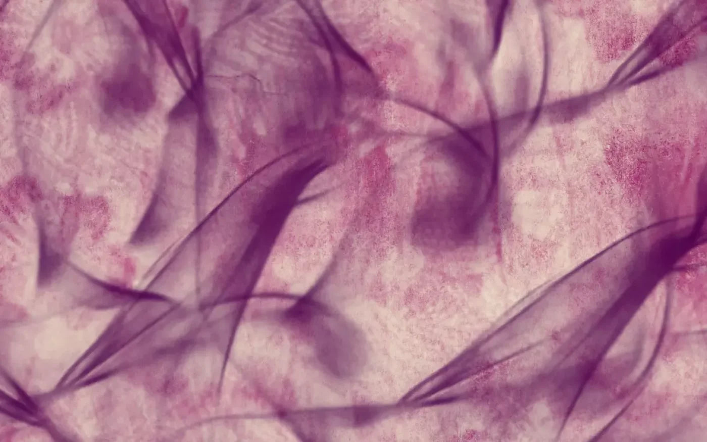 Flow 14X9 Ultracloth ( 168 X 108 Inch ) Backdrop
