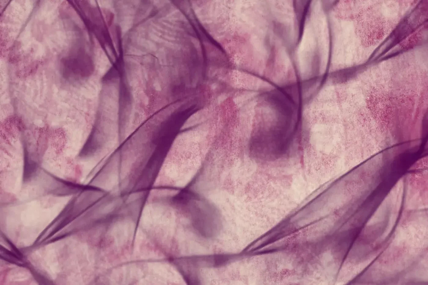 Flow Backdrop