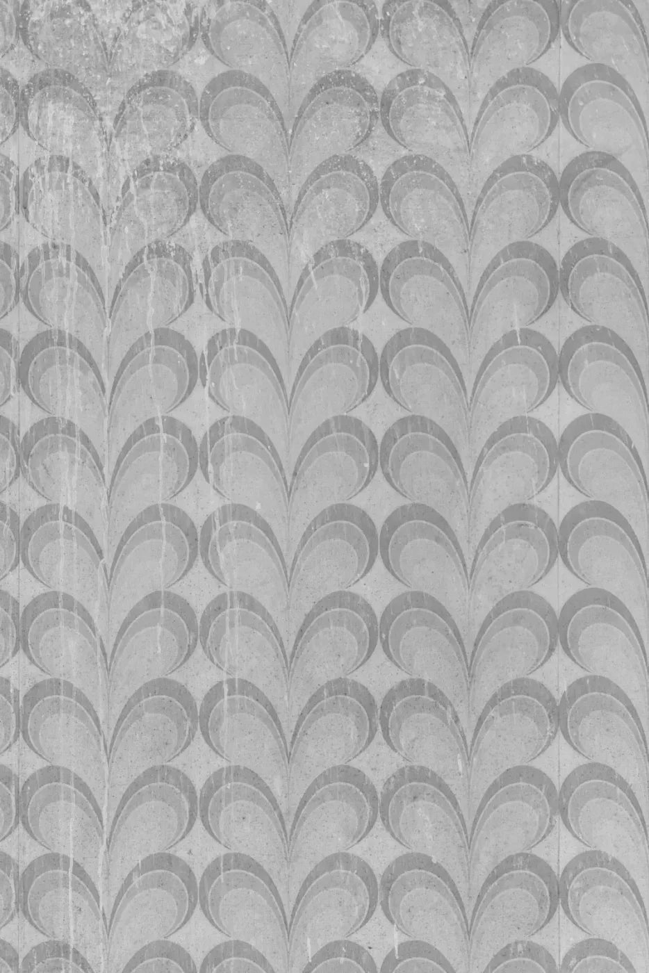 Flutterby Backdrop