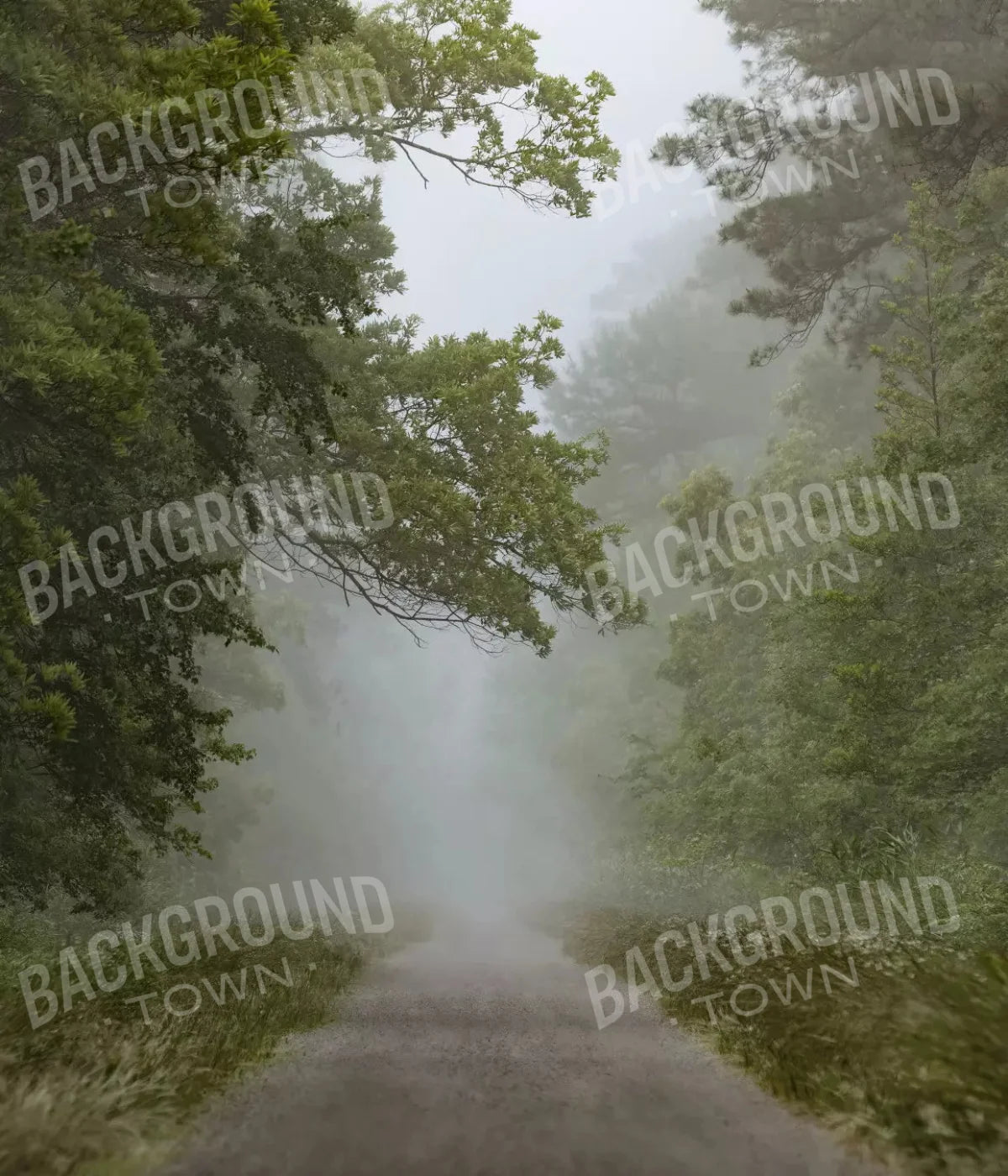 Foggy Morning 10X12 Ultracloth ( 120 X 144 Inch ) Backdrop