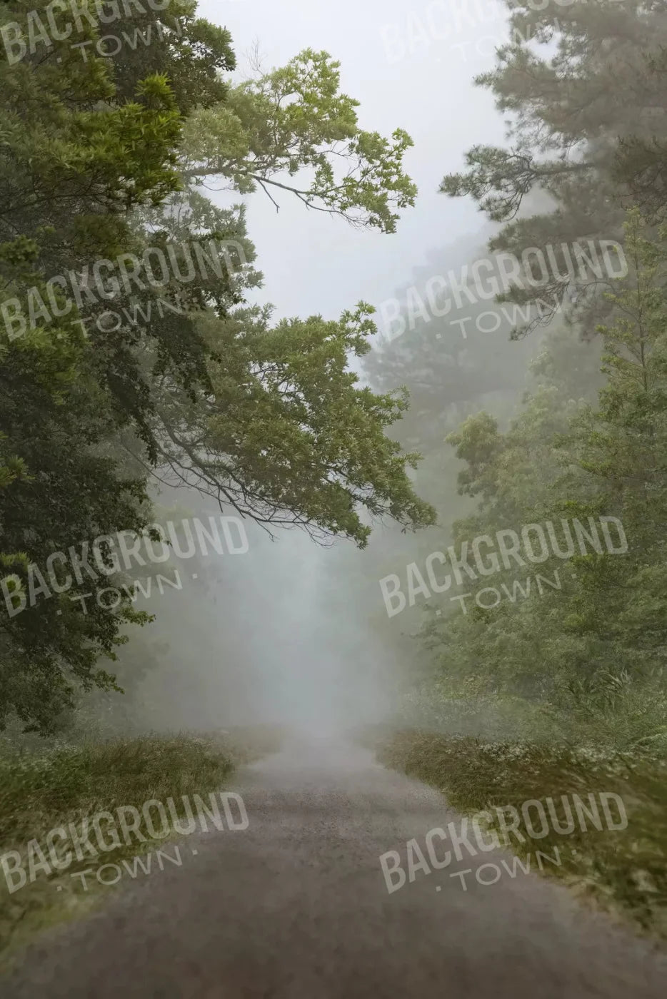 Foggy Morning 5X8 Ultracloth ( 60 X 96 Inch ) Backdrop