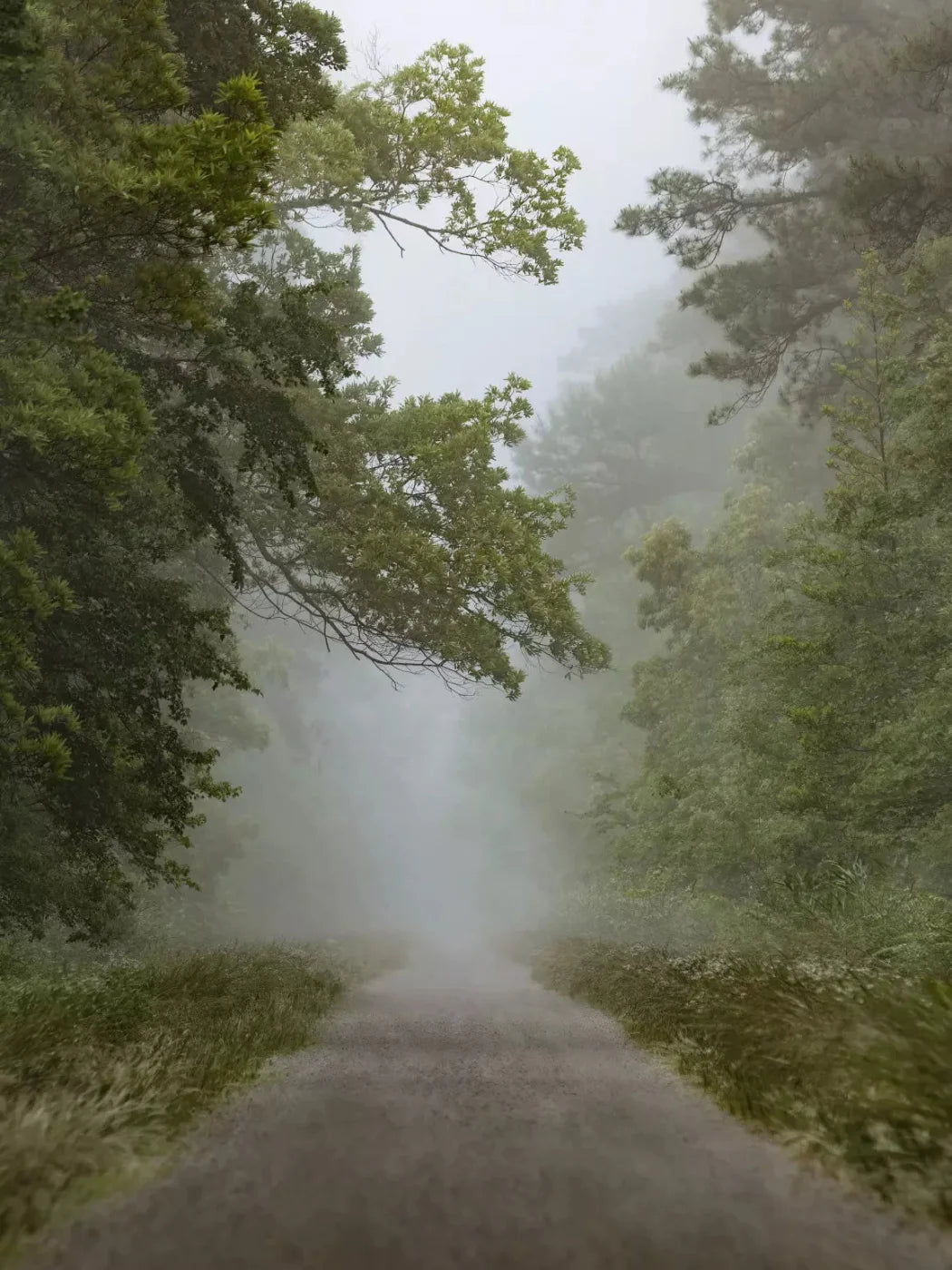 Foggy Morning 8X10 Fleece ( 96 X 120 Inch ) Backdrop