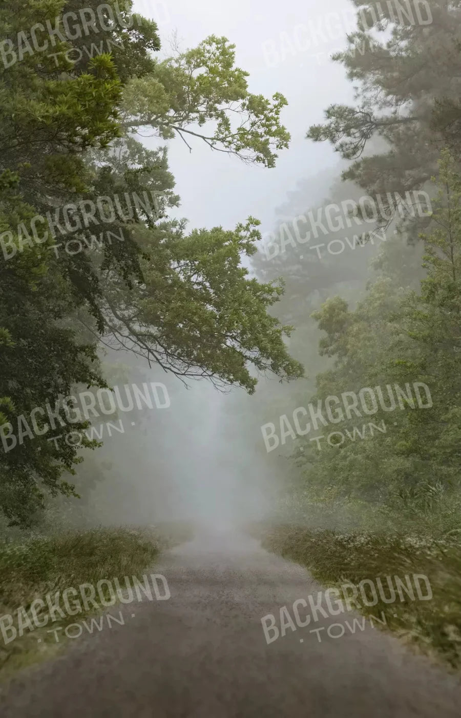 Foggy Morning 8X12 Ultracloth ( 96 X 144 Inch ) Backdrop