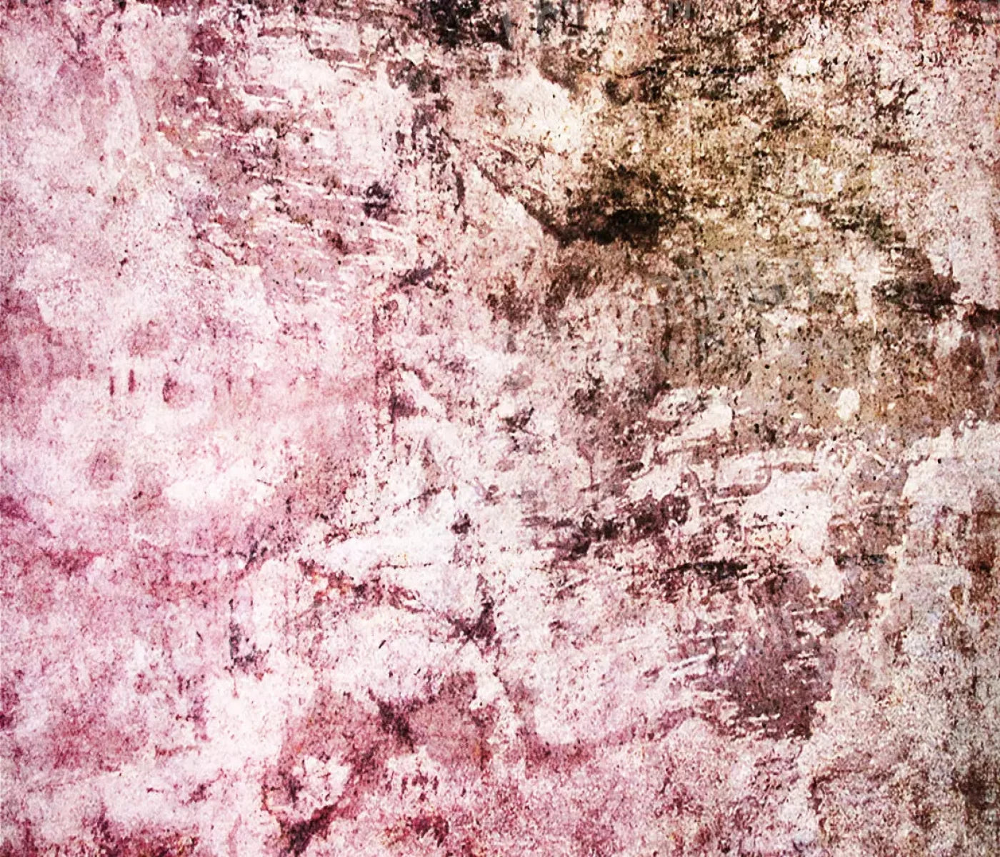 Force 12X10 Ultracloth ( 144 X 120 Inch ) Backdrop