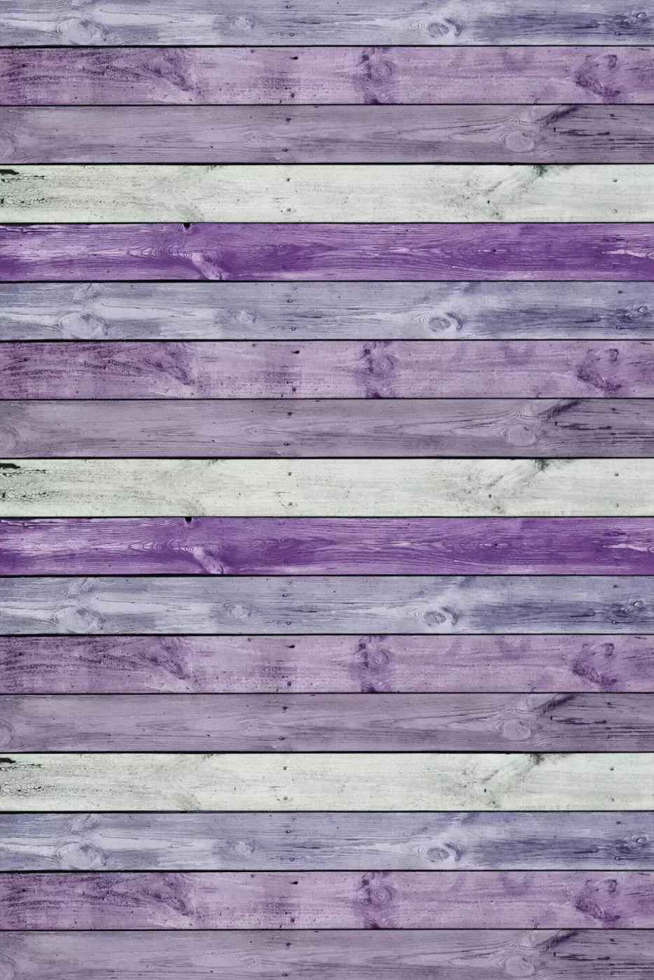 Forester Backdrop