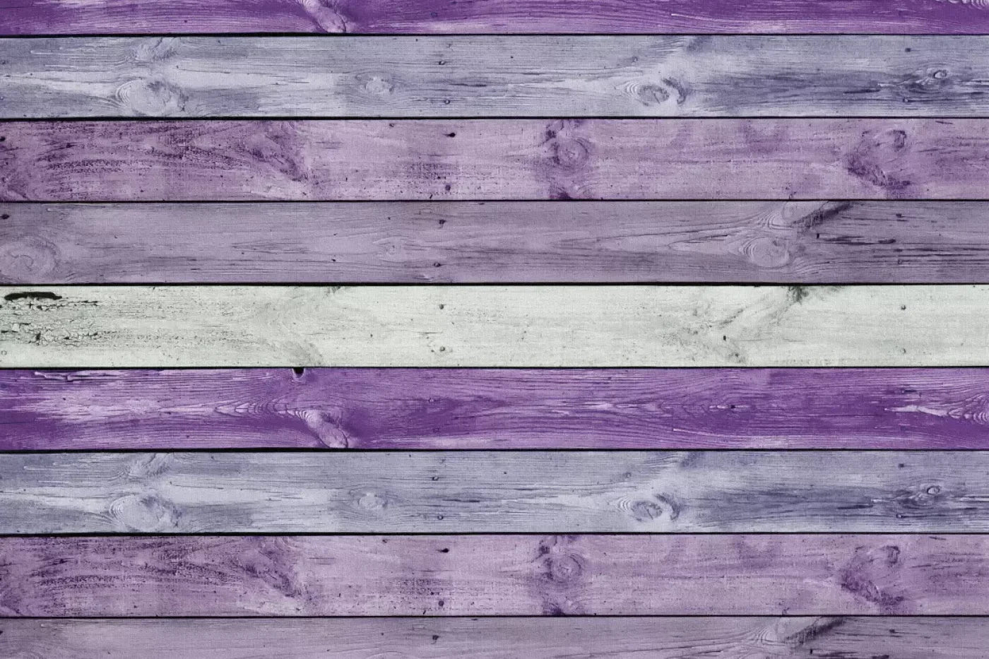 Forester Backdrop