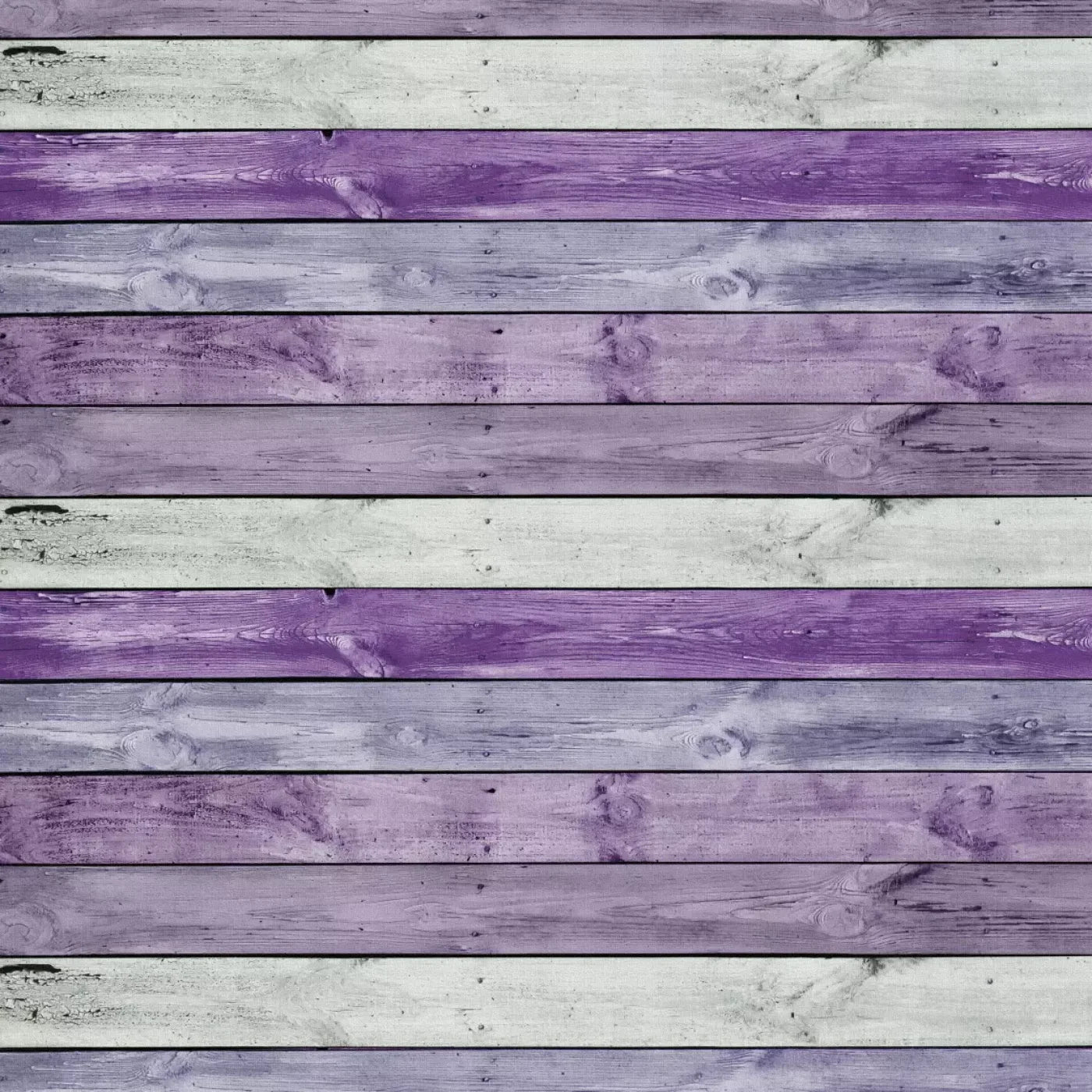 Forester Backdrop