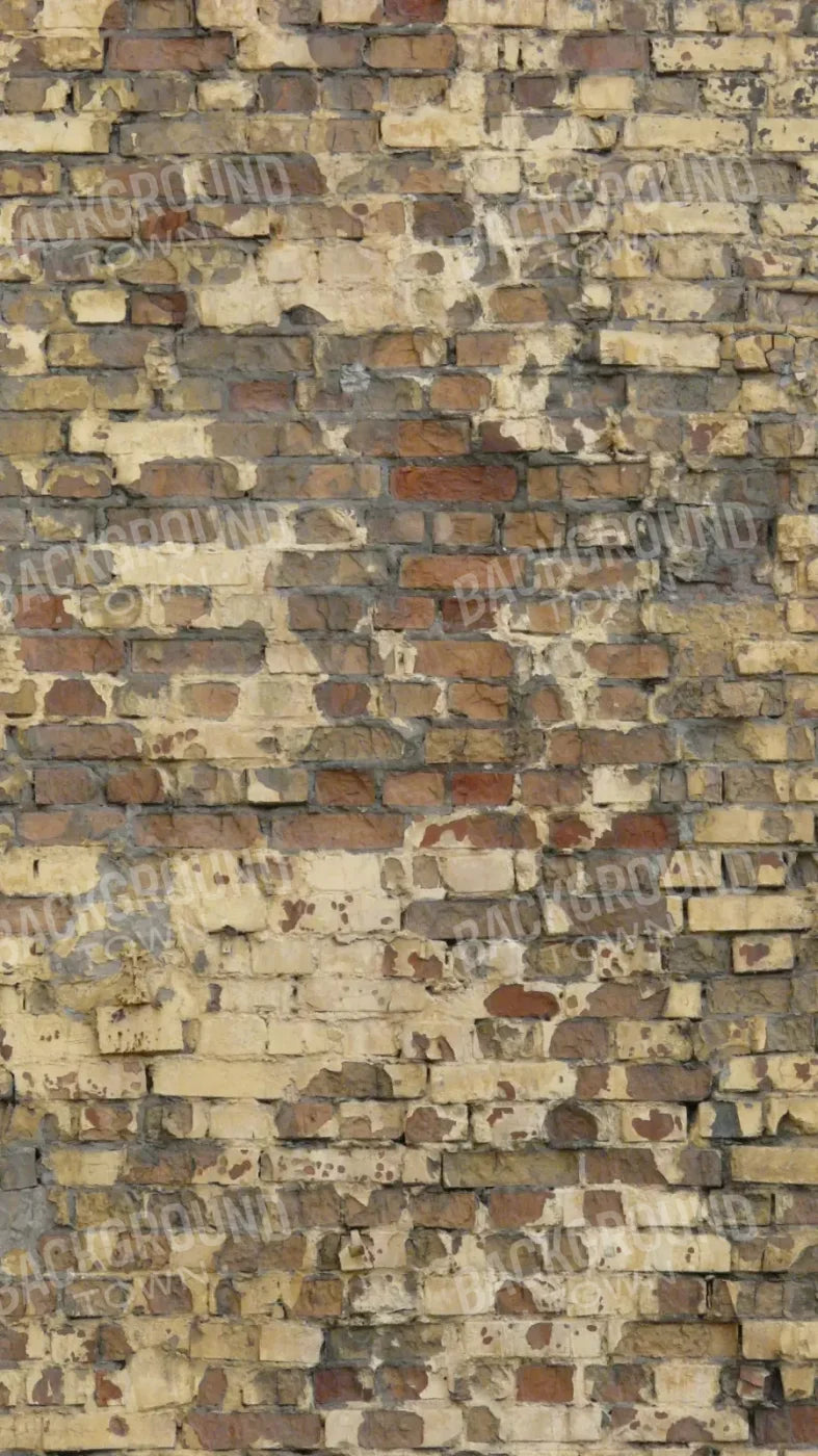 Forfeit 8X14 Ultracloth ( 96 X 168 Inch ) Backdrop