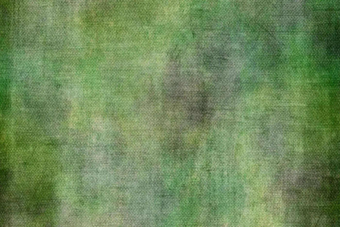Forrest Backdrop
