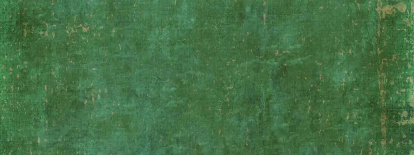 Forrester 20X8 Ultracloth ( 240 X 96 Inch ) Backdrop