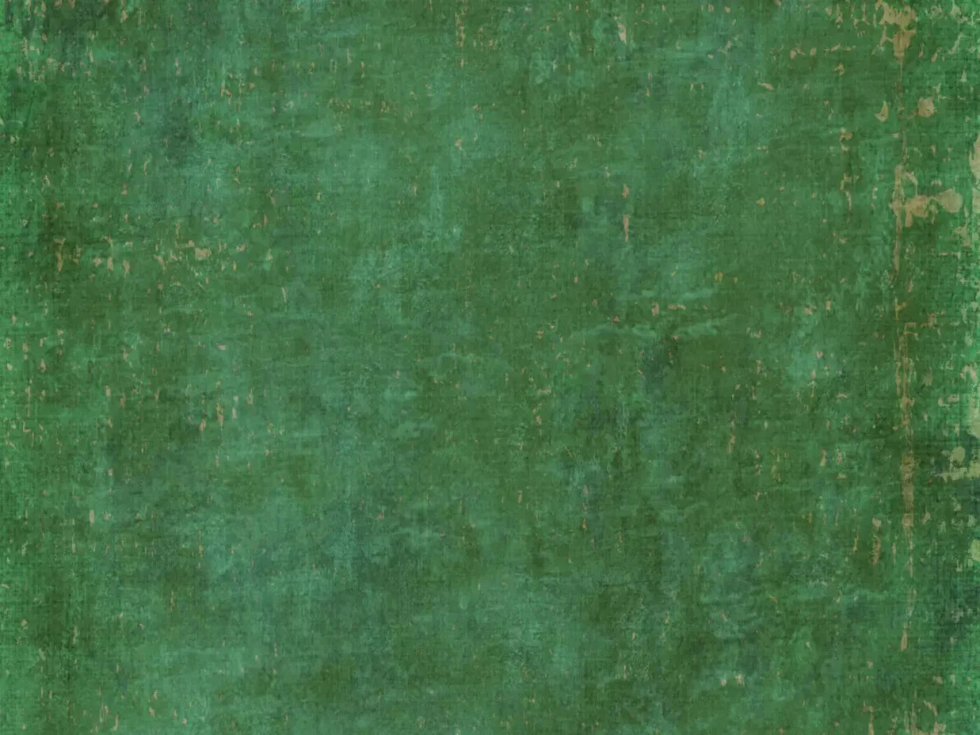 Forrester 68X5 Fleece ( 80 X 60 Inch ) Backdrop