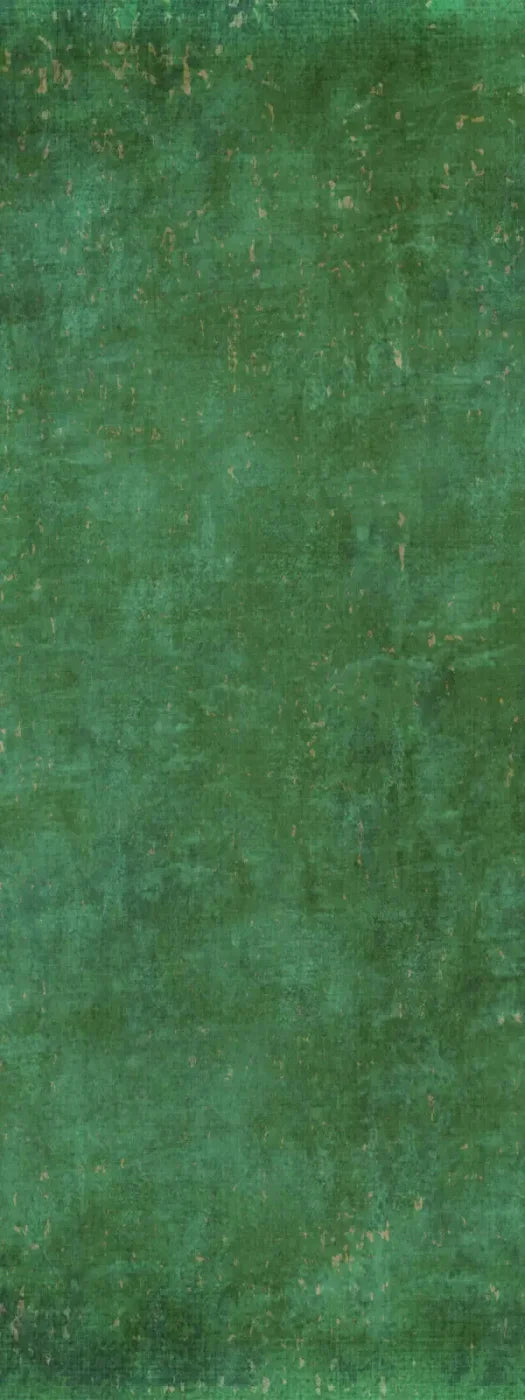 Forrester 8X20 Ultracloth ( 96 X 240 Inch ) Backdrop