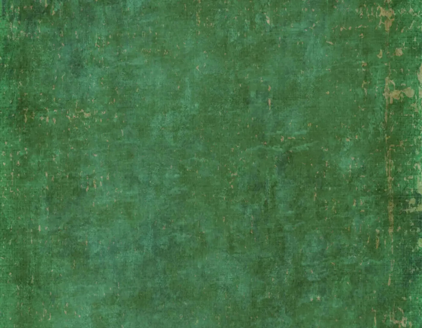 Forrester 8X6 Fleece ( 96 X 72 Inch ) Backdrop
