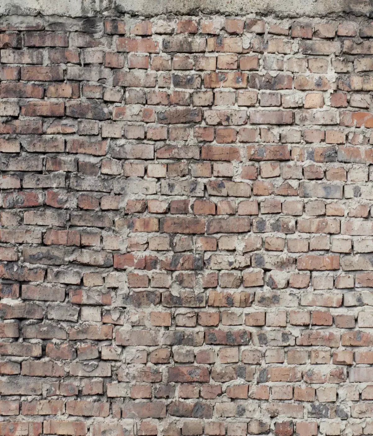 Fortress 10X12 Ultracloth ( 120 X 144 Inch ) Backdrop