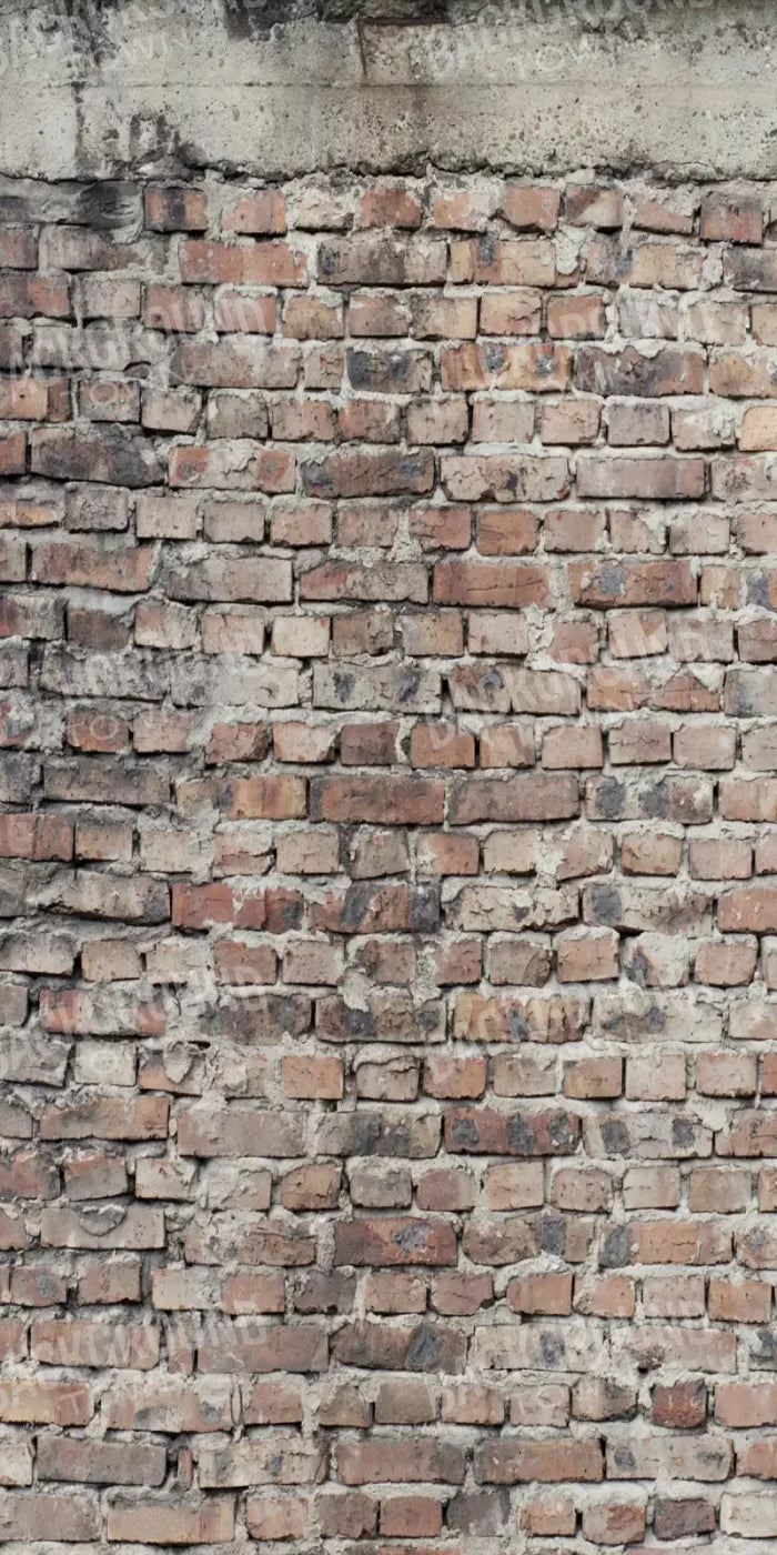 Fortress 10X20 Ultracloth ( 120 X 240 Inch ) Backdrop