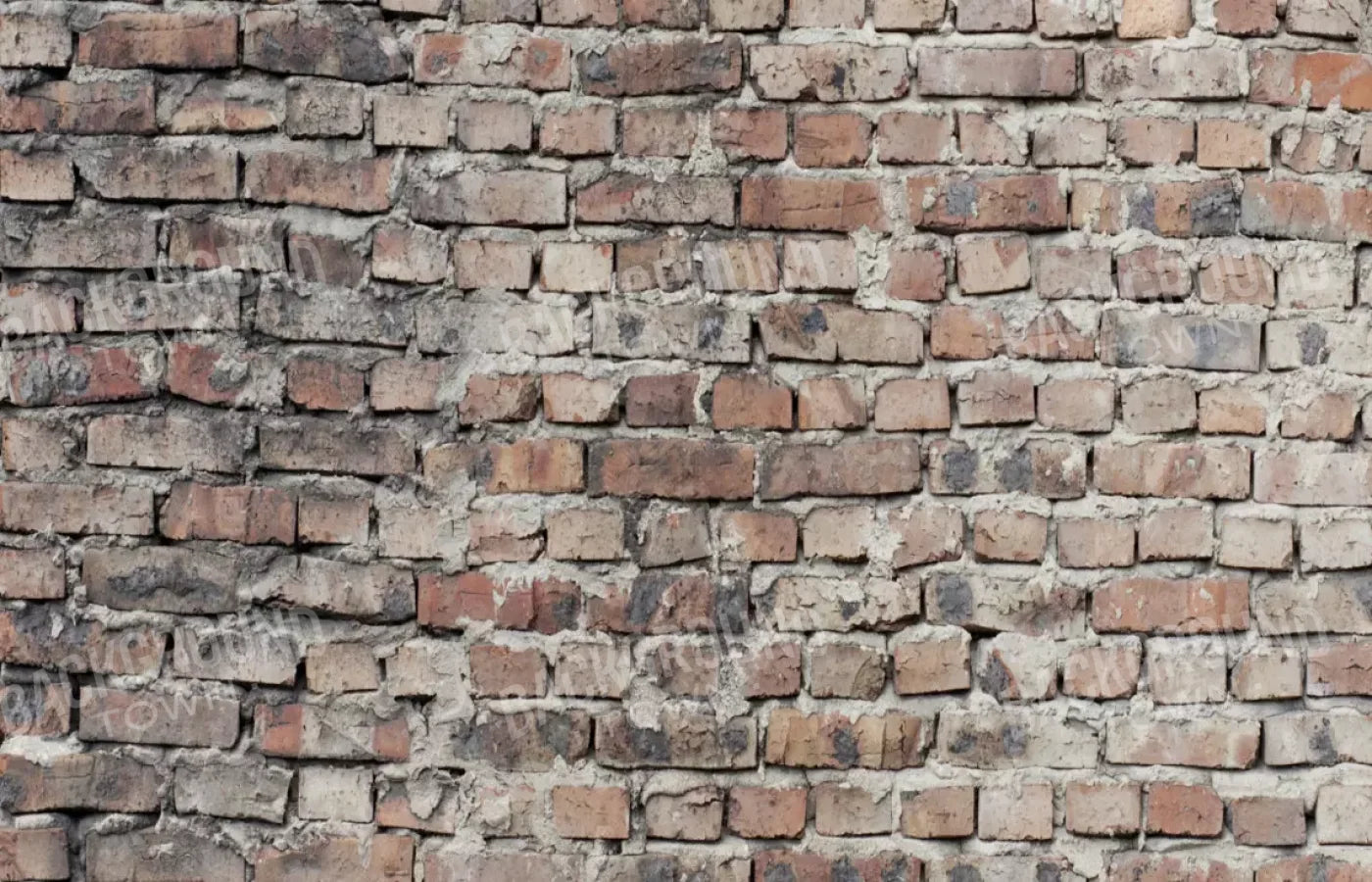 Fortress 12X8 Ultracloth ( 144 X 96 Inch ) Backdrop