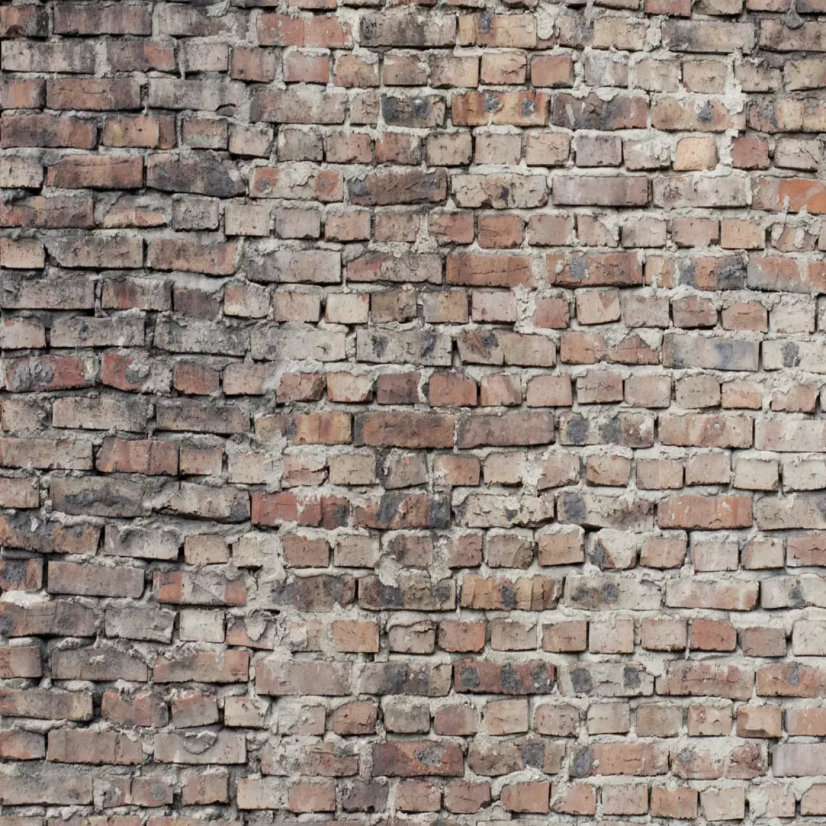 Fortress Backdrop