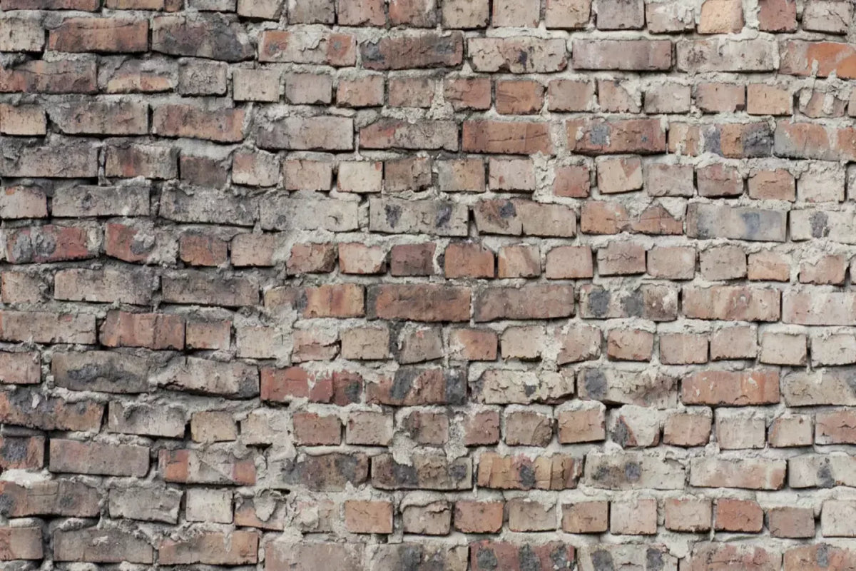 Fortress Backdrop