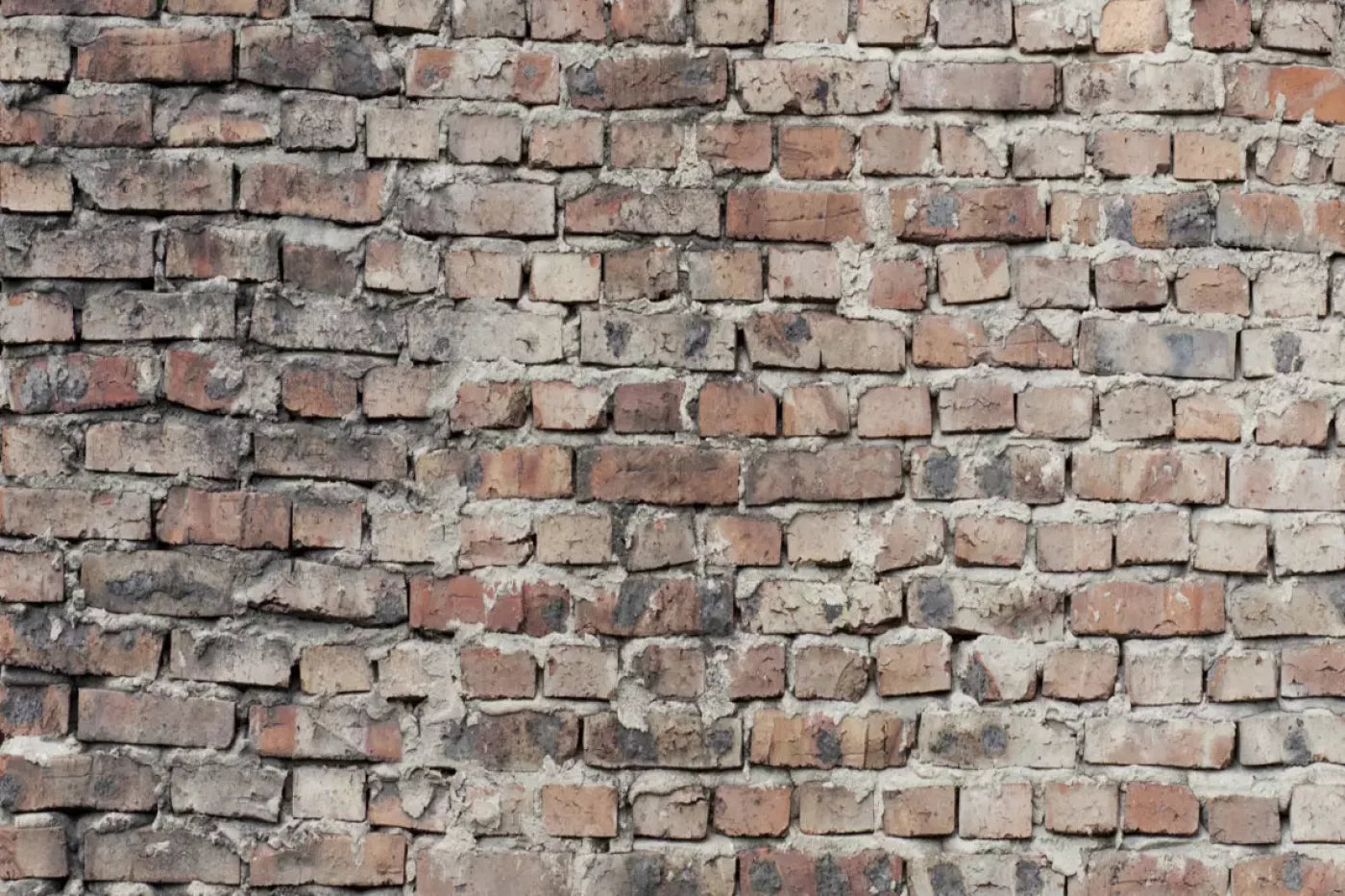 Fortress Backdrop