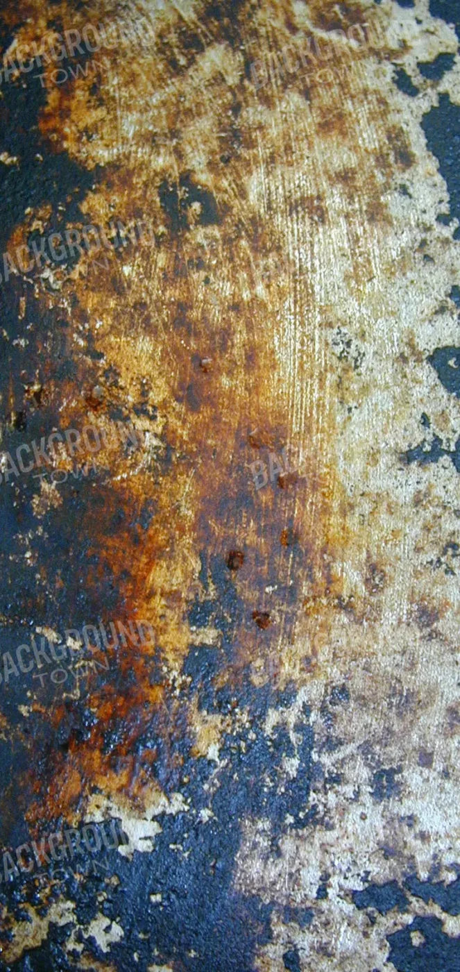 Fossil 8X16 Ultracloth ( 96 X 192 Inch ) Backdrop