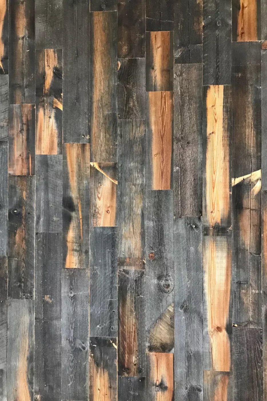 Fred Backdrop