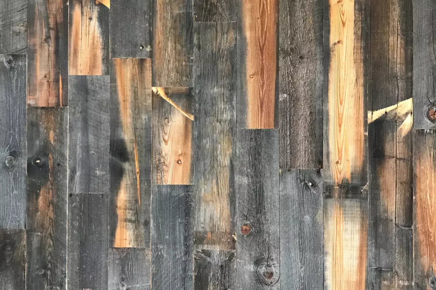 Fred Backdrop