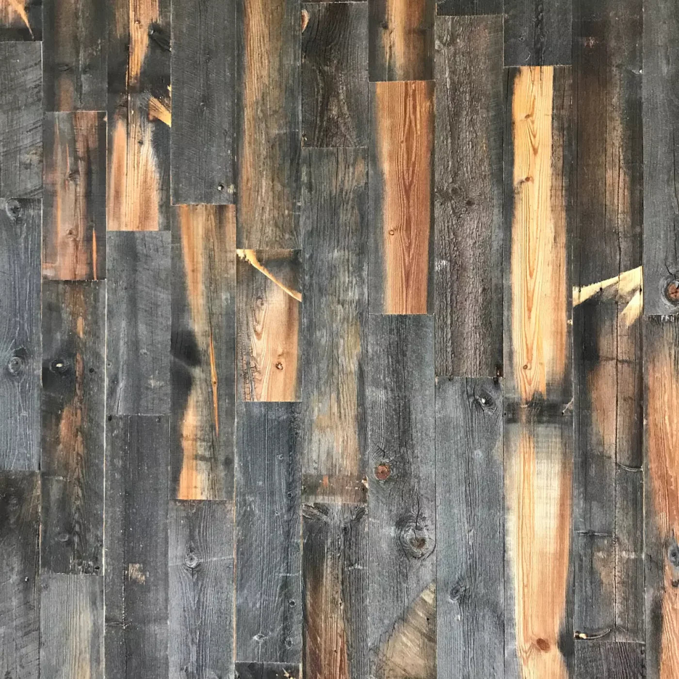 Fred Backdrop
